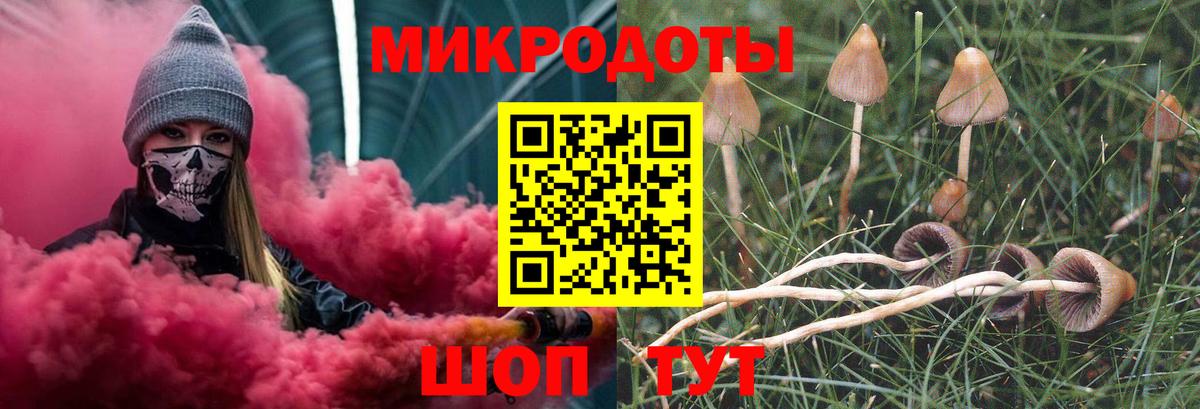 Галлюциногенные грибы прущие грибы  магазин  наркотиков  Калининград  Вход с VPN 